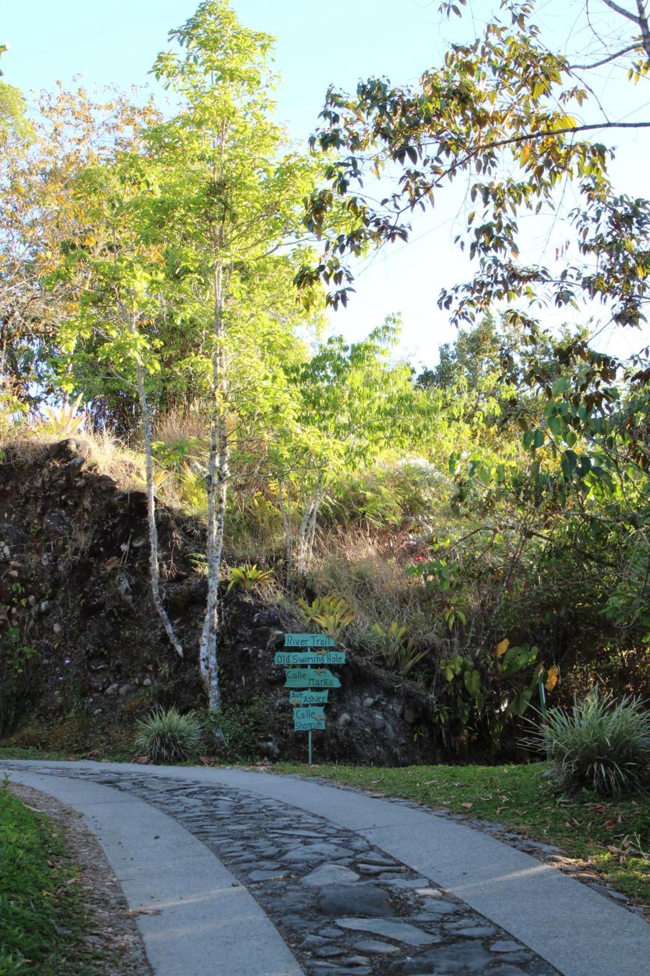 Talamanca Nature Reserve Rivas Екстериор снимка